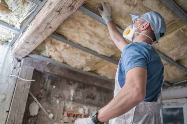 Best Insulation Maintenance and Repair in Andover, MN