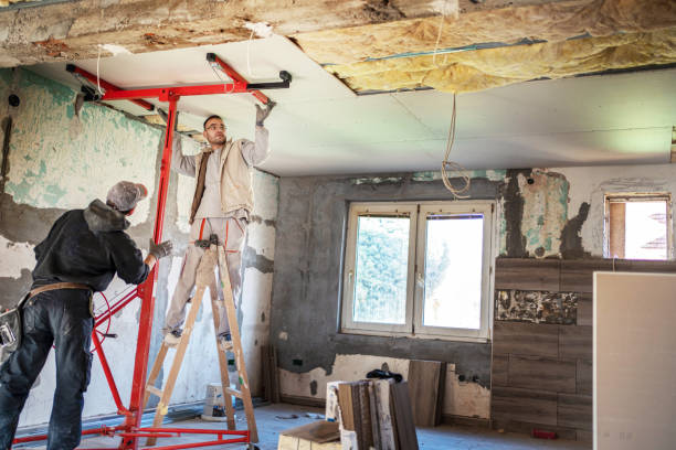 Best Insulation Maintenance and Repair in Andover, MN