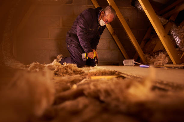 Types of Insulation We Offer in MN