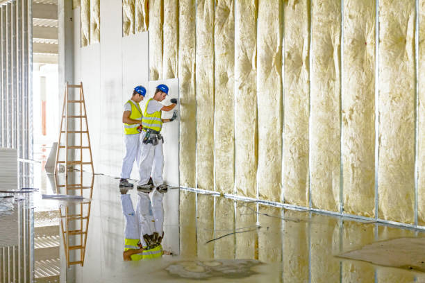 Best Types of Insulation in Andover, MN
